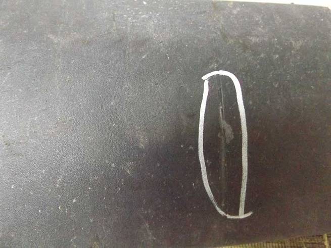  8200113981