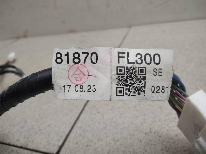  81870FL300