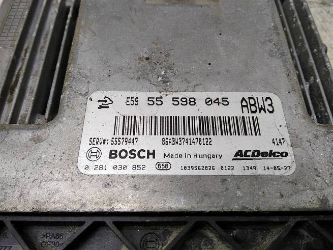  55598045