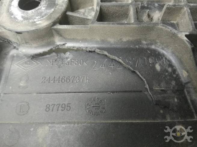  244287099R