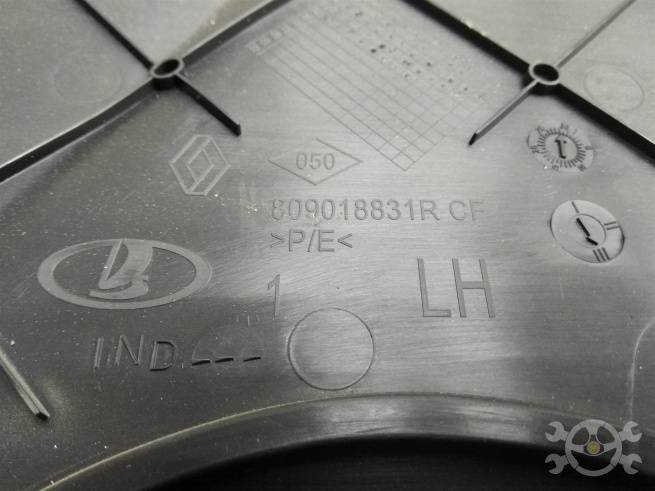  809018831R