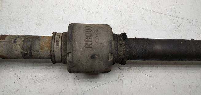  495011R000