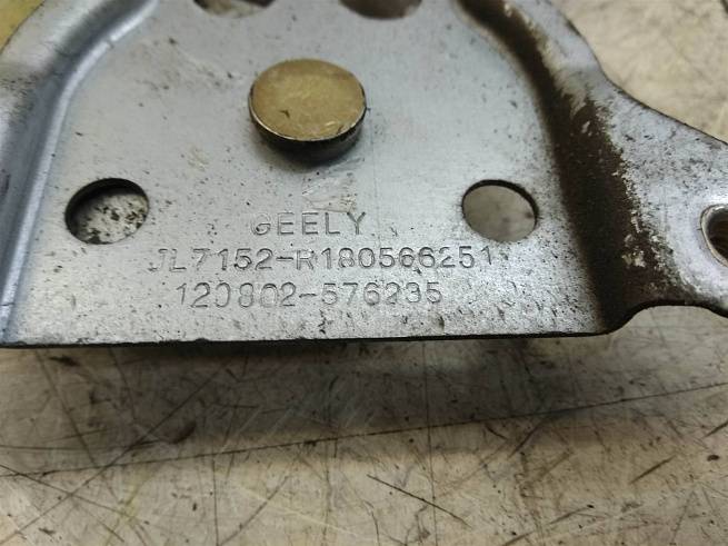  1018005662