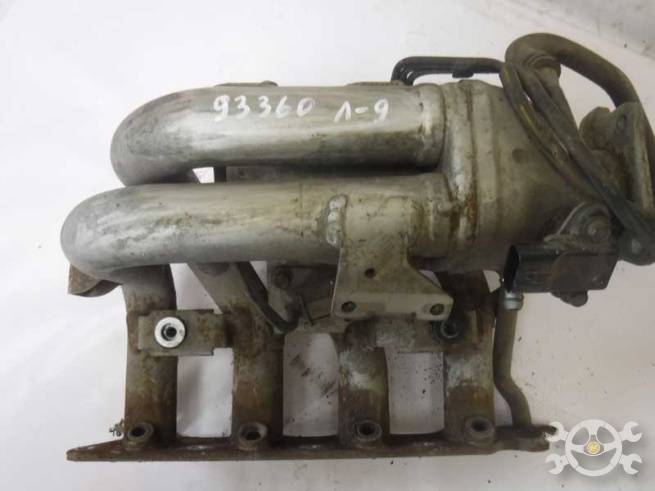 MN137916 MN137916