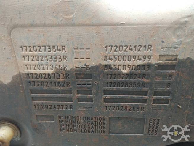  172036316R