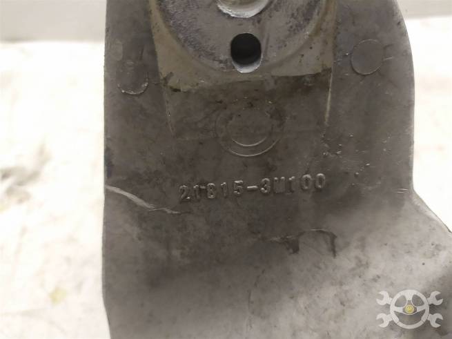  218153M100