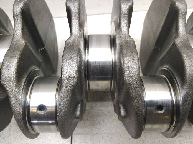  55576033