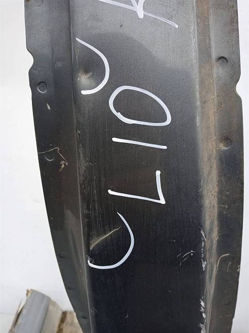  MN186620
