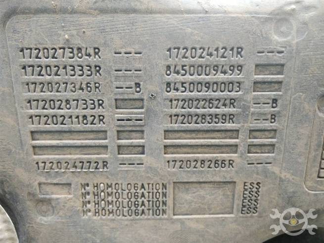  172036316R