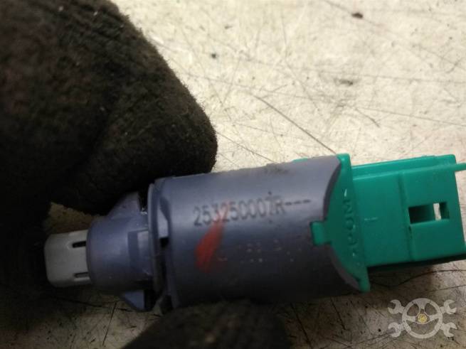 253250007R  253250007R