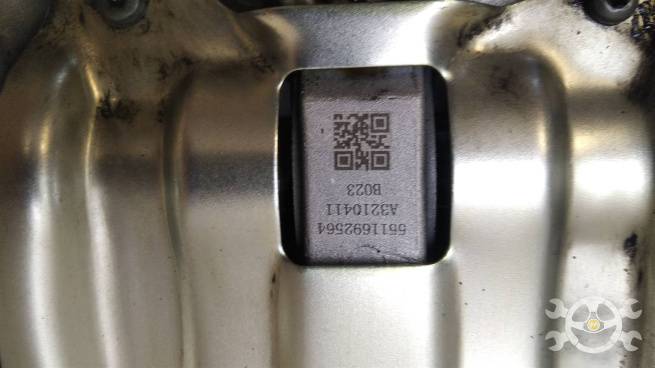 5511692564  5511692564