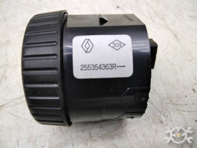  255354363R