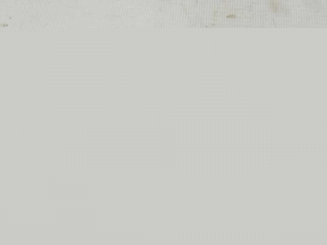 CL070130808A0