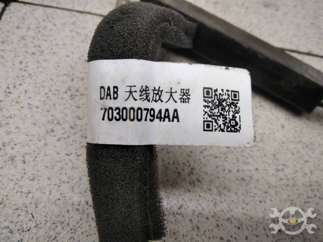  703000794AA