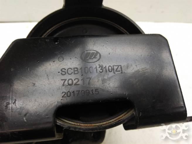  SCB1001310