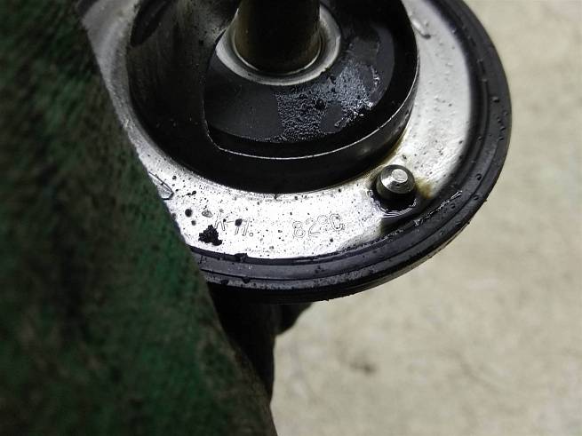  2550035540
