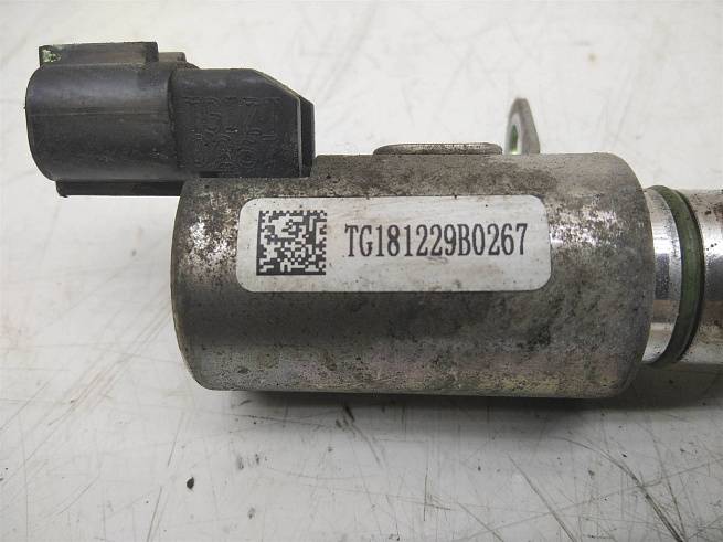  TG181229B0267