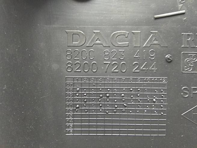  8200823419