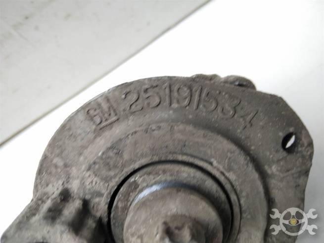  25191534