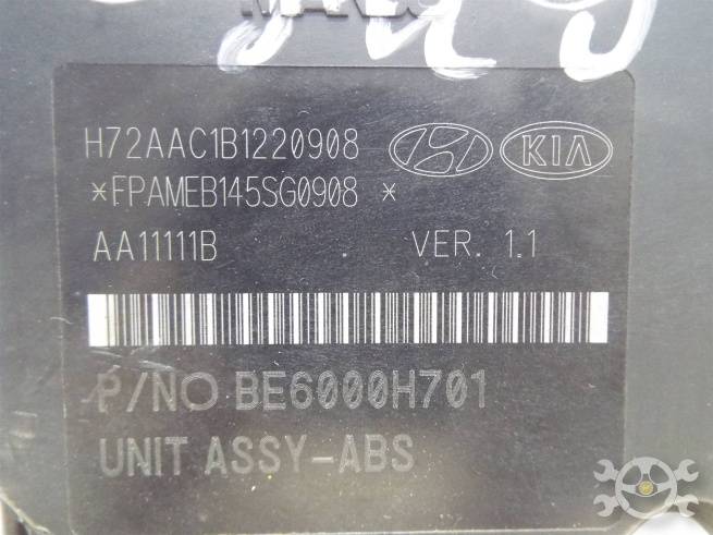  589204L100