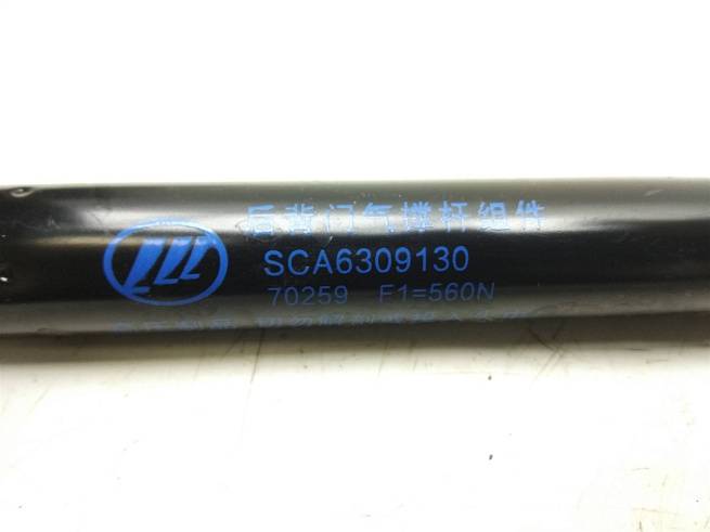  SCA6309130