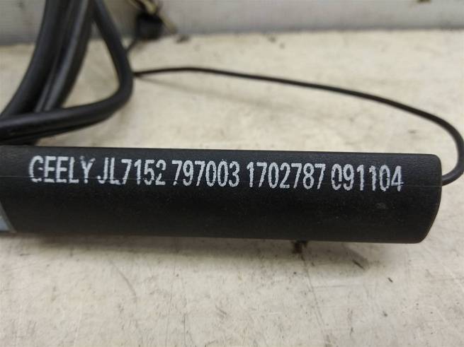 1017002787