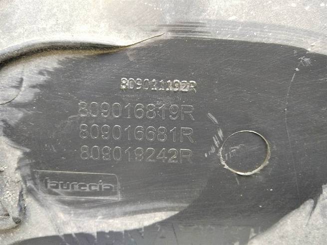  809016819R