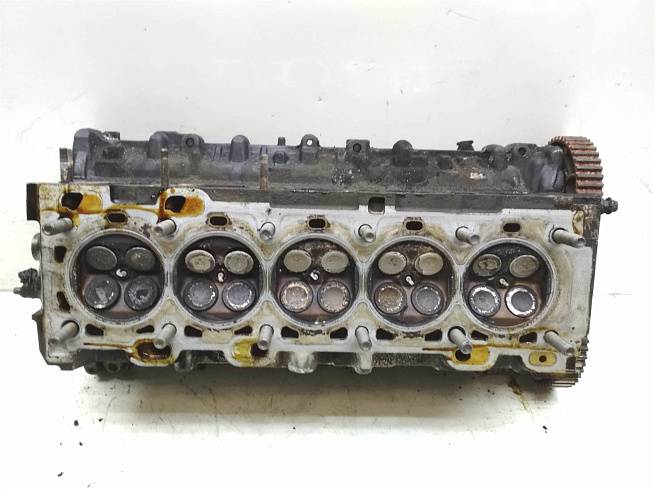  36002522