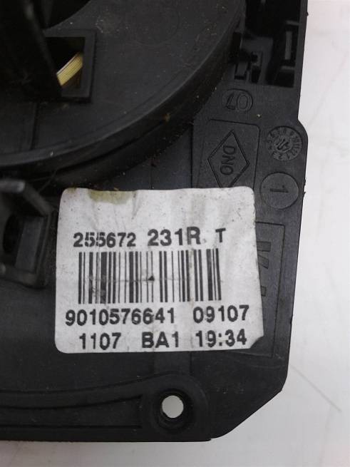  255672231R