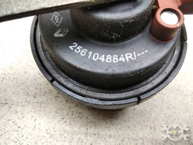  256104884R