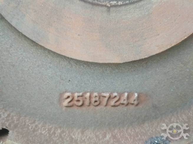  25187244