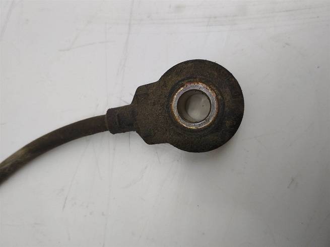  B113611031