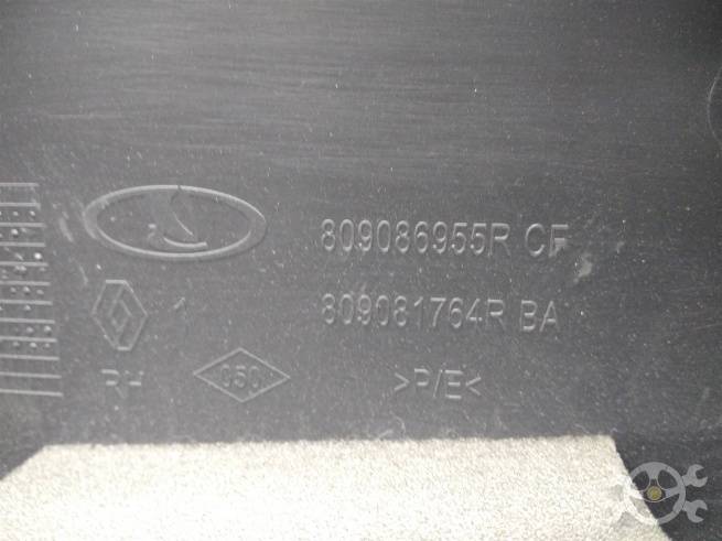 809086955R  809086955R