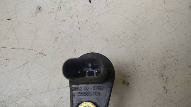  55565709