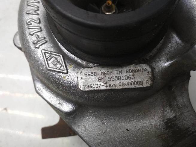  55570748