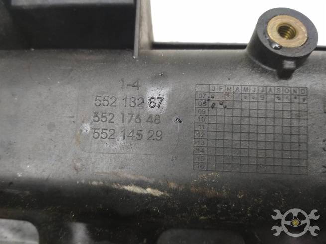  55231287