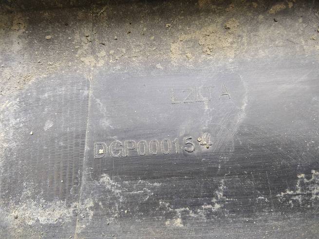  DGP000154