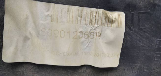  809016819R