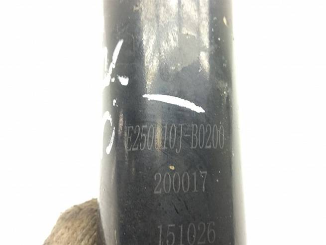  4201001